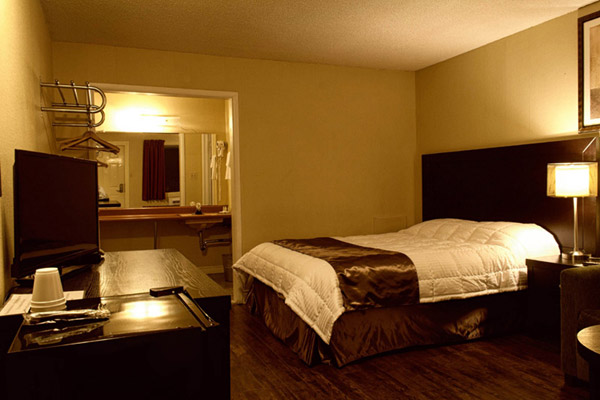 One Queen with a Pullout